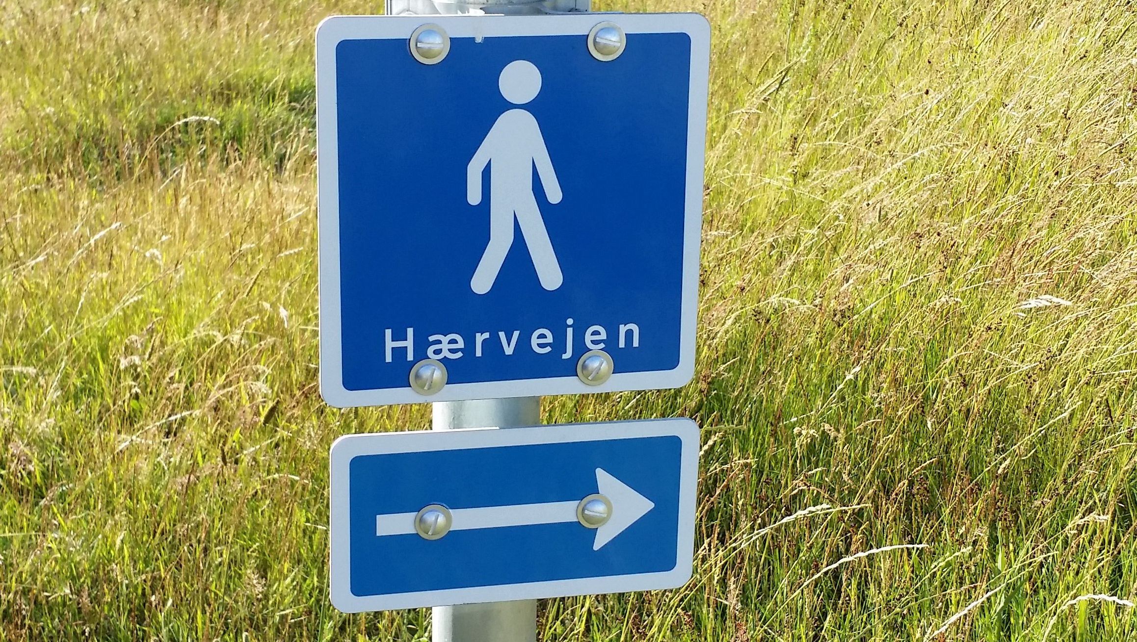 Hærvejen